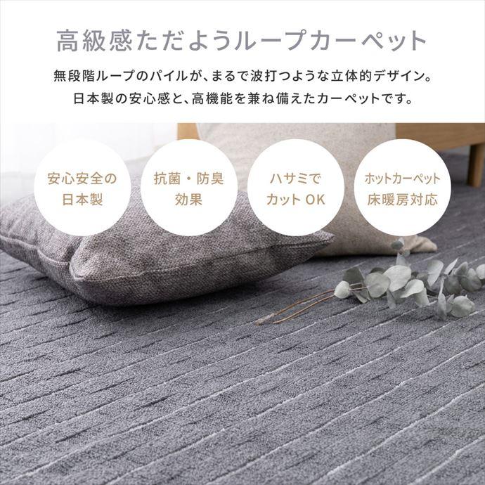 カーペット ラグ 絨毯 フロア マット ループパイル メテオ 立体 波 平織 抗菌 防臭 フリーカット 日本製 江戸間6畳 切れる 床暖房 ホットカーペット対応_3