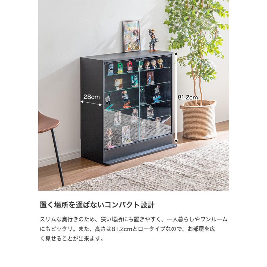 レージン (Legen) コレクションケース　en-235 147005 BR g147005]【幅46cm×奥行18cm】Legen コレクションケース