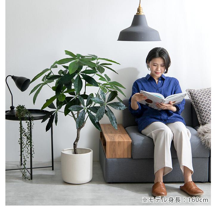 観葉植物 パキラ フェイクグリーン 人工 室内 リビング オフィス 一人暮らし 緑 インテリア 光触媒 空気清浄 消臭 抗菌 防汚 ホルムアルデヒド分解 |  | 13