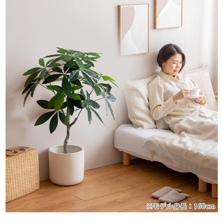 観葉植物 パキラ フェイクグリーン 人工 室内 リビング オフィス 一人暮らし 緑 インテリア 光触媒 空気清浄 消臭 抗菌 防汚 ホルムアルデヒド分解 |  | 14