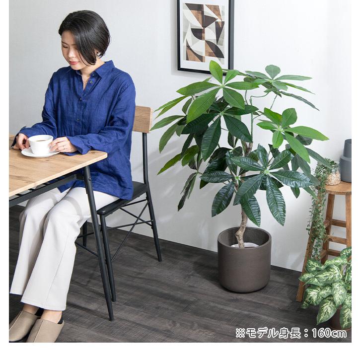 観葉植物 パキラ フェイクグリーン 人工 室内 リビング オフィス 一人暮らし 緑 インテリア 光触媒 空気清浄 消臭 抗菌 防汚 ホルムアルデヒド分解 |  | 15