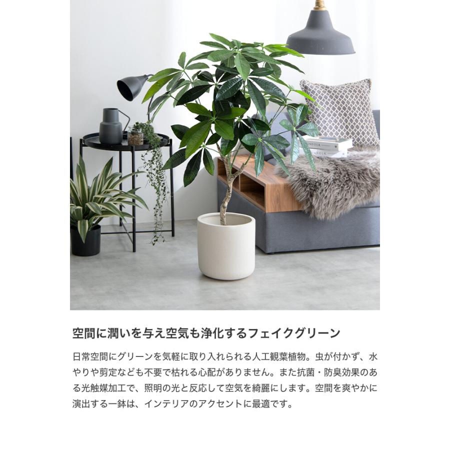 観葉植物 パキラ フェイクグリーン 人工 室内 リビング オフィス 一人暮らし 緑 インテリア 光触媒 空気清浄 消臭 抗菌 防汚 ホルムアルデヒド分解 |  | 02