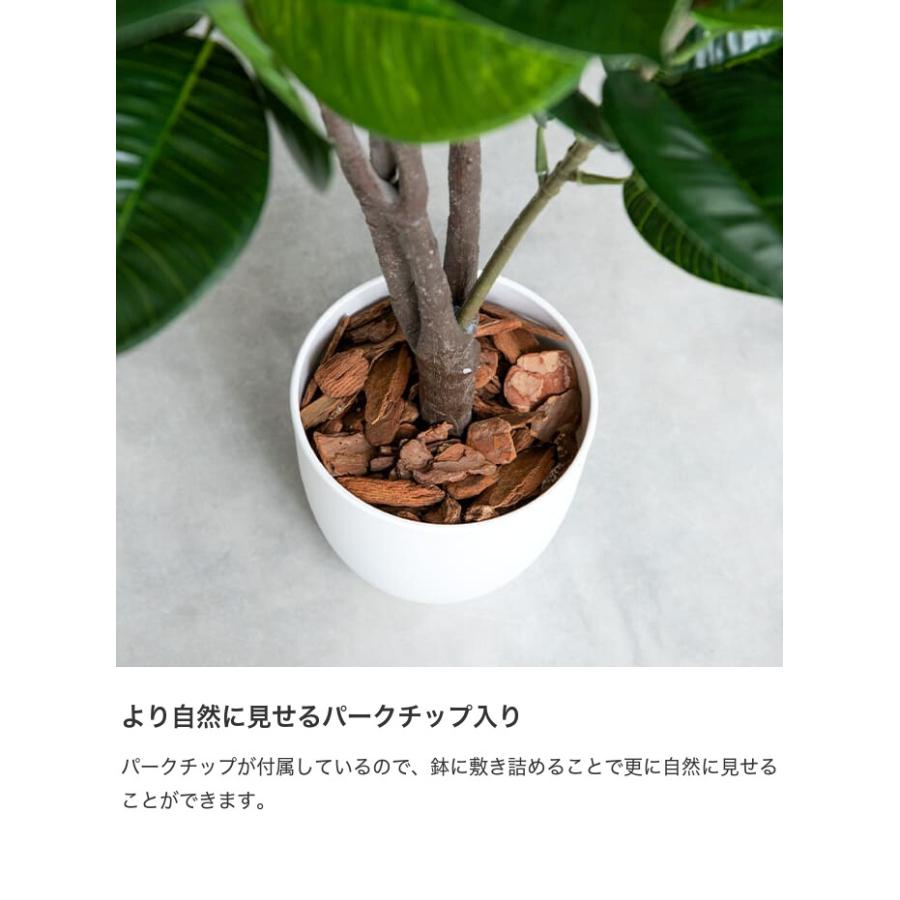 観葉植物 パキラ フェイクグリーン 人工 室内 リビング オフィス 一人暮らし 緑 インテリア 光触媒 空気清浄 消臭 抗菌 防汚 ホルムアルデヒド分解 |  | 07