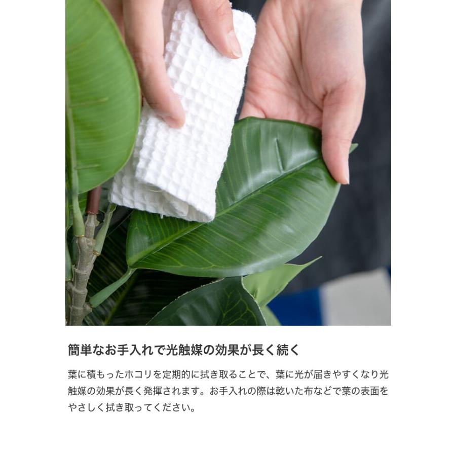 観葉植物 パキラ フェイクグリーン 人工 室内 リビング オフィス 一人暮らし 緑 インテリア 光触媒 空気清浄 消臭 抗菌 防汚 ホルムアルデヒド分解 |  | 09