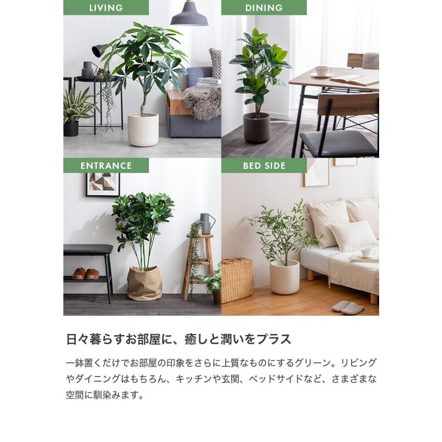 観葉植物 パキラ フェイクグリーン 人工 室内 リビング オフィス 一人暮らし 緑 インテリア 光触媒 空気清浄 消臭 抗菌 防汚 ホルムアルデヒド分解 |  | 10