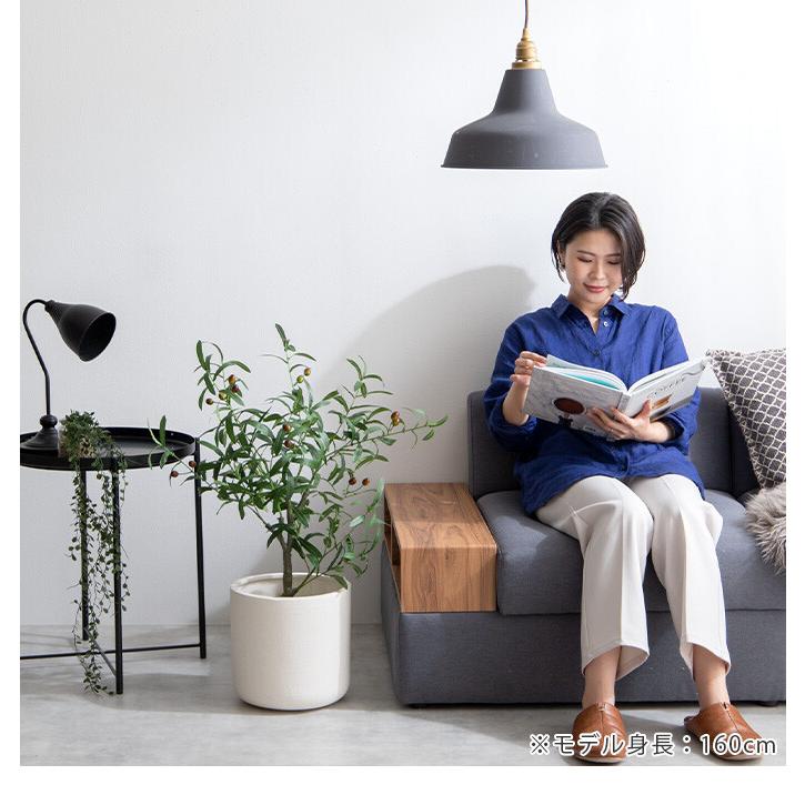 観葉植物 オリーブ フェイクグリーン 人工 室内 リビング オフィス 一人暮らし 緑 インテリア 光触媒 空気清浄 消臭 抗菌 防汚 ホルムアルデヒド分解 |  | 13