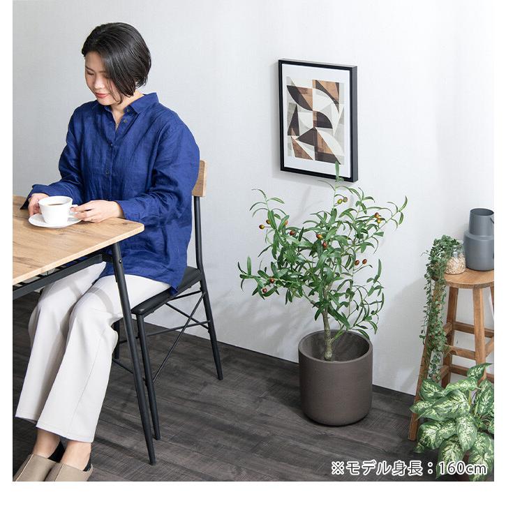 観葉植物 オリーブ フェイクグリーン 人工 室内 リビング オフィス 一人暮らし 緑 インテリア 光触媒 空気清浄 消臭 抗菌 防汚 ホルムアルデヒド分解 |  | 15