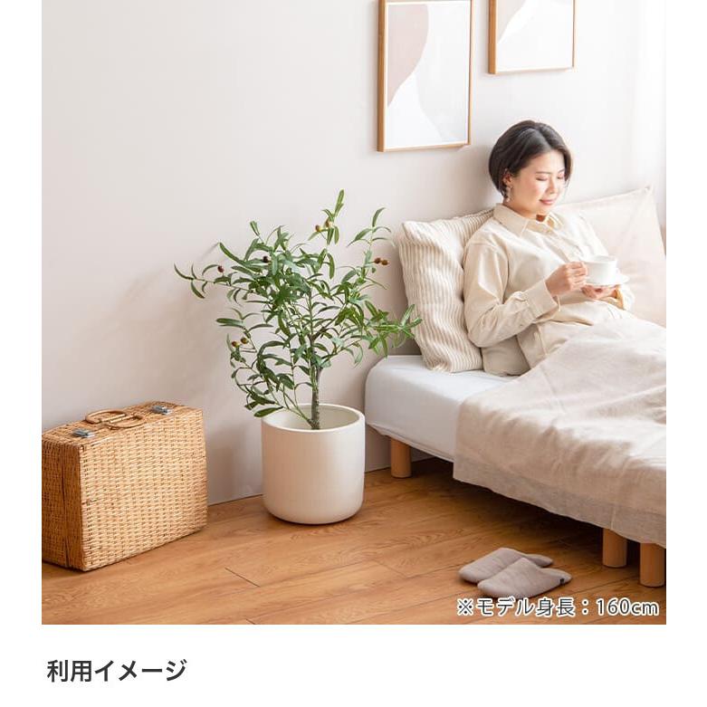光触媒 インテリア 観葉植物 植物 ホルムアルデヒド 大型 造花 高さ175cm フェイクグリーン アートグリーン 人工 防汚 人工観葉植物造花 消臭 グリーン ユッカ 抗菌 分解 鑑賞 フェイク 光触媒グリーン プレゼント 引っ越し祝い 新築祝い 開店祝い 新作からsaleアイテム