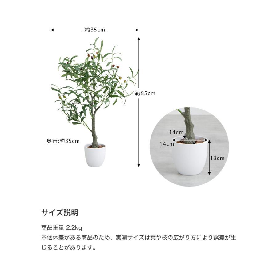 観葉植物 オリーブ フェイクグリーン 人工 室内 リビング オフィス 一人暮らし 緑 インテリア 光触媒 空気清浄 消臭 抗菌 防汚 ホルムアルデヒド分解 |  | 19