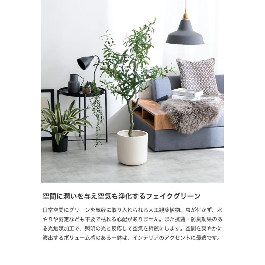 観葉植物 オリーブ フェイクグリーン 人工 室内 リビング オフィス 一人暮らし 緑 インテリア 光触媒 空気清浄 消臭 抗菌 防汚 ホルムアルデヒド分解 |  | 02