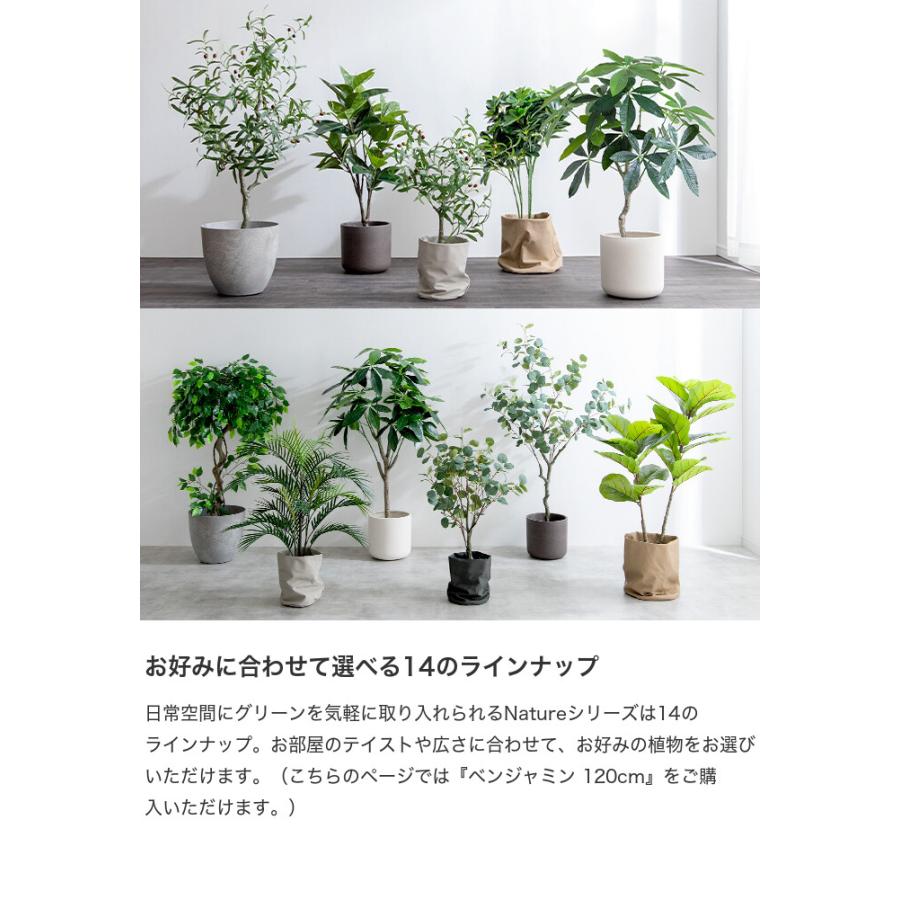 Nature ナチュレ 観葉植物 ベンジャミン フェイクグリーン 人工 室内 リビング オフィス 一人暮らし 緑 インテリア インテリアグリーン 光触媒 空気清浄｜eeena｜12