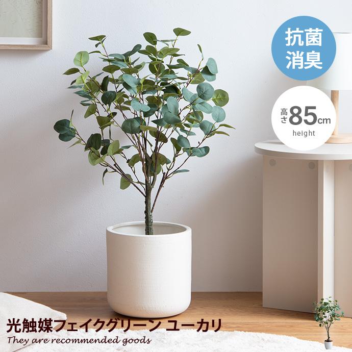 観葉植物 ユーカリ フェイクグリーン 人工 室内 リビング オフィス