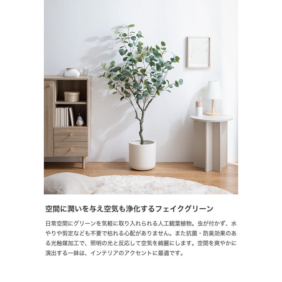 観葉植物 ユーカリ フェイクグリーン 人工 室内 リビング オフィス 一人暮らし 緑 インテリア インテリアグリーン 光触媒 空気清浄 消臭 抗菌 防汚 |  | 02
