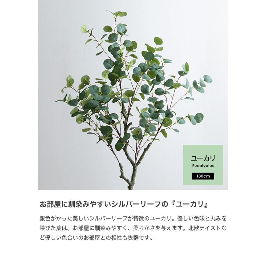 観葉植物 ユーカリ フェイクグリーン 人工 室内 リビング オフィス 一人暮らし 緑 インテリア インテリアグリーン 光触媒 空気清浄 消臭 抗菌 防汚 |  | 04