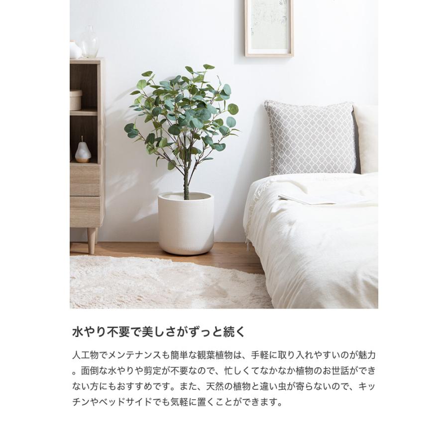 観葉植物 ユーカリ フェイクグリーン 人工 室内 リビング オフィス 一人暮らし 緑 インテリア インテリアグリーン 光触媒 空気清浄 消臭 抗菌 防汚 |  | 05