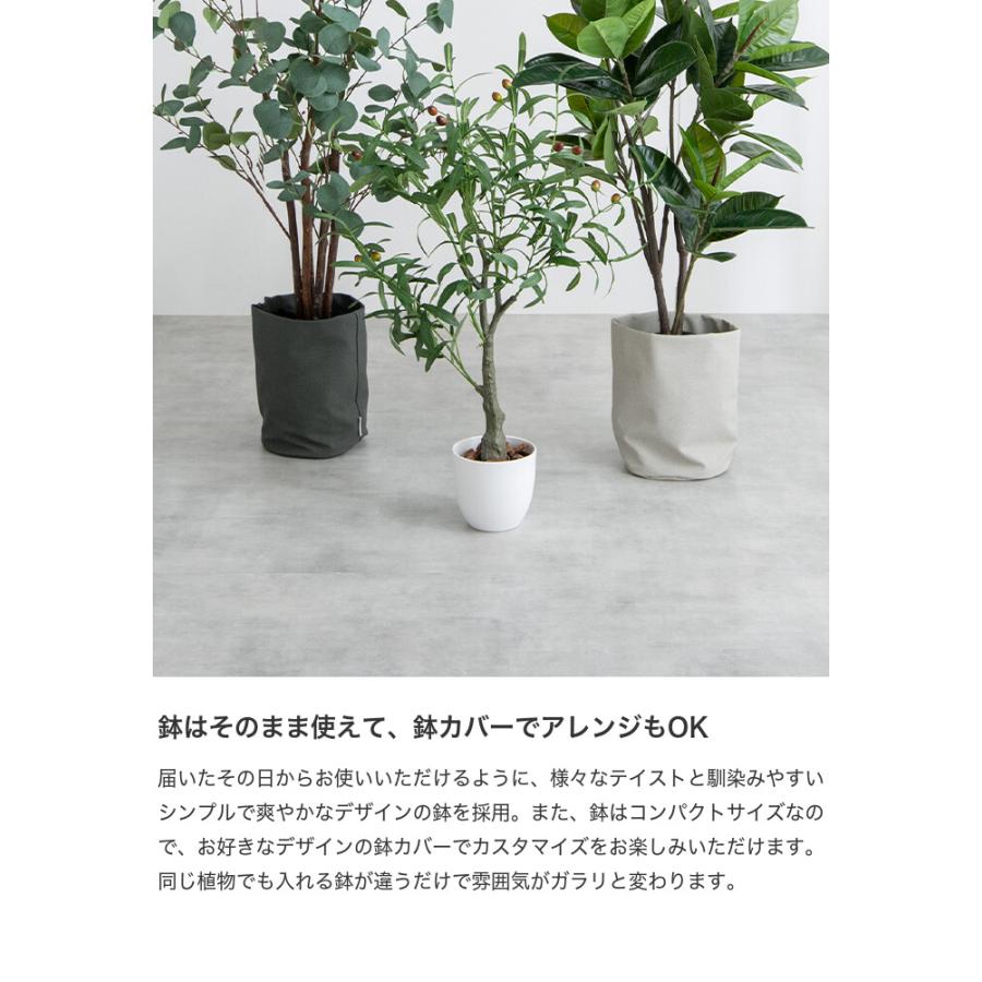 観葉植物 ユーカリ フェイクグリーン 人工 室内 リビング オフィス 一人暮らし 緑 インテリア インテリアグリーン 光触媒 空気清浄 消臭 抗菌 防汚 |  | 08
