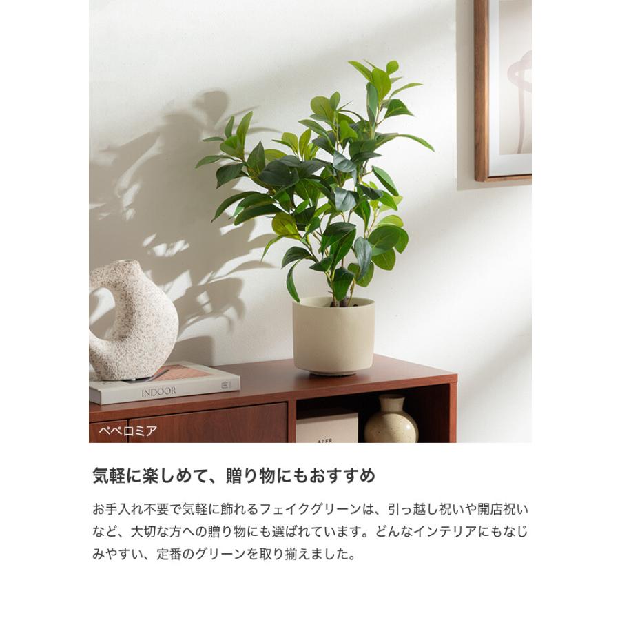 フェイクグリーン モンステラ 卓上 光触媒 観葉植物 室内 人工 造花 班入り リビング オフィス 一人暮らし ギフト 新居 引っ越し 祝い インテリア 高さ27 |  | 11