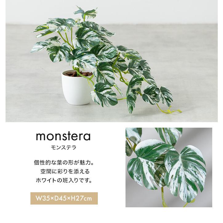 フェイクグリーン モンステラ 卓上 光触媒 観葉植物 室内 人工 造花 班入り リビング オフィス 一人暮らし ギフト 新居 引っ越し 祝い インテリア 高さ27 |  | 12