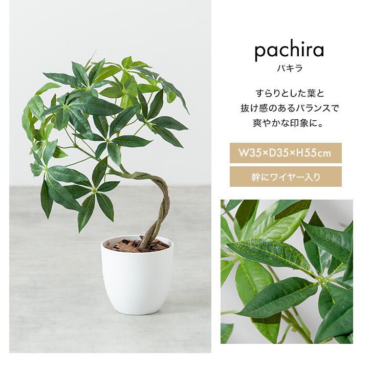 フェイクグリーン モンステラ 卓上 光触媒 観葉植物 室内 人工 造花 班入り リビング オフィス 一人暮らし ギフト 新居 引っ越し 祝い インテリア 高さ27 |  | 13