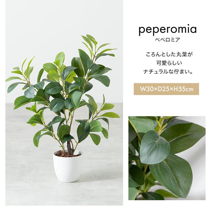 フェイクグリーン モンステラ 卓上 光触媒 観葉植物 室内 人工 造花 班入り リビング オフィス 一人暮らし ギフト 新居 引っ越し 祝い インテリア 高さ27 |  | 14