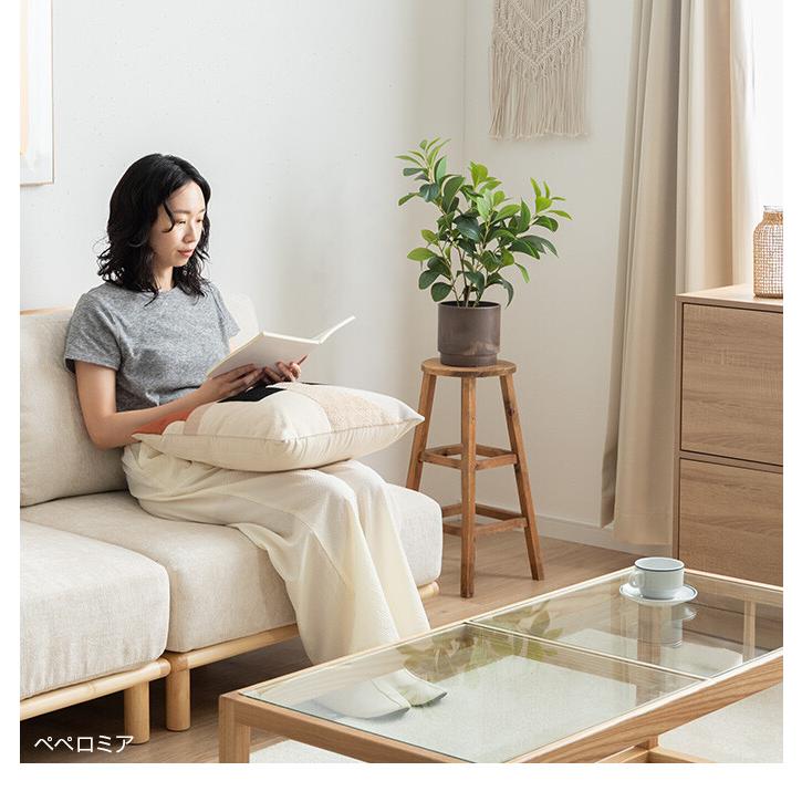 フェイクグリーン モンステラ 卓上 光触媒 観葉植物 室内 人工 造花 班入り リビング オフィス 一人暮らし ギフト 新居 引っ越し 祝い インテリア 高さ27 |  | 15