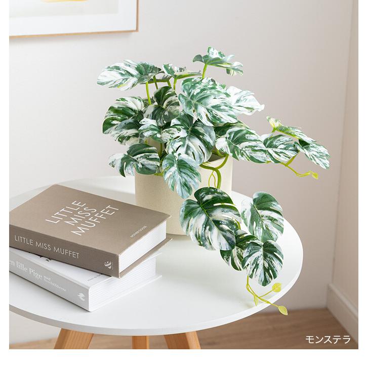 フェイクグリーン モンステラ 卓上 光触媒 観葉植物 室内 人工 造花 班入り リビング オフィス 一人暮らし ギフト 新居 引っ越し 祝い インテリア 高さ27 |  | 16