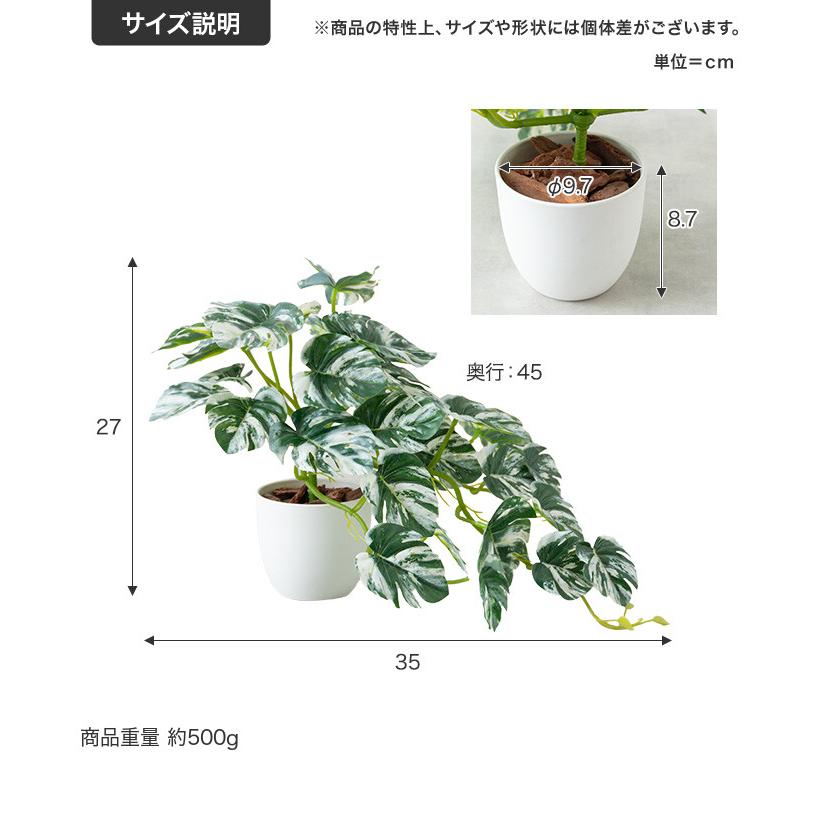 フェイクグリーン モンステラ 卓上 光触媒 観葉植物 室内 人工 造花 班入り リビング オフィス 一人暮らし ギフト 新居 引っ越し 祝い インテリア 高さ27 |  | 19