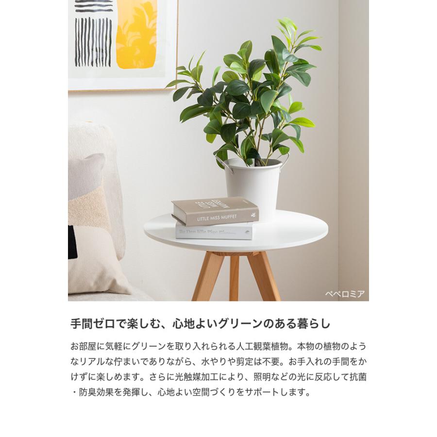 フェイクグリーン モンステラ 卓上 光触媒 観葉植物 室内 人工 造花 班入り リビング オフィス 一人暮らし ギフト 新居 引っ越し 祝い インテリア 高さ27 |  | 02