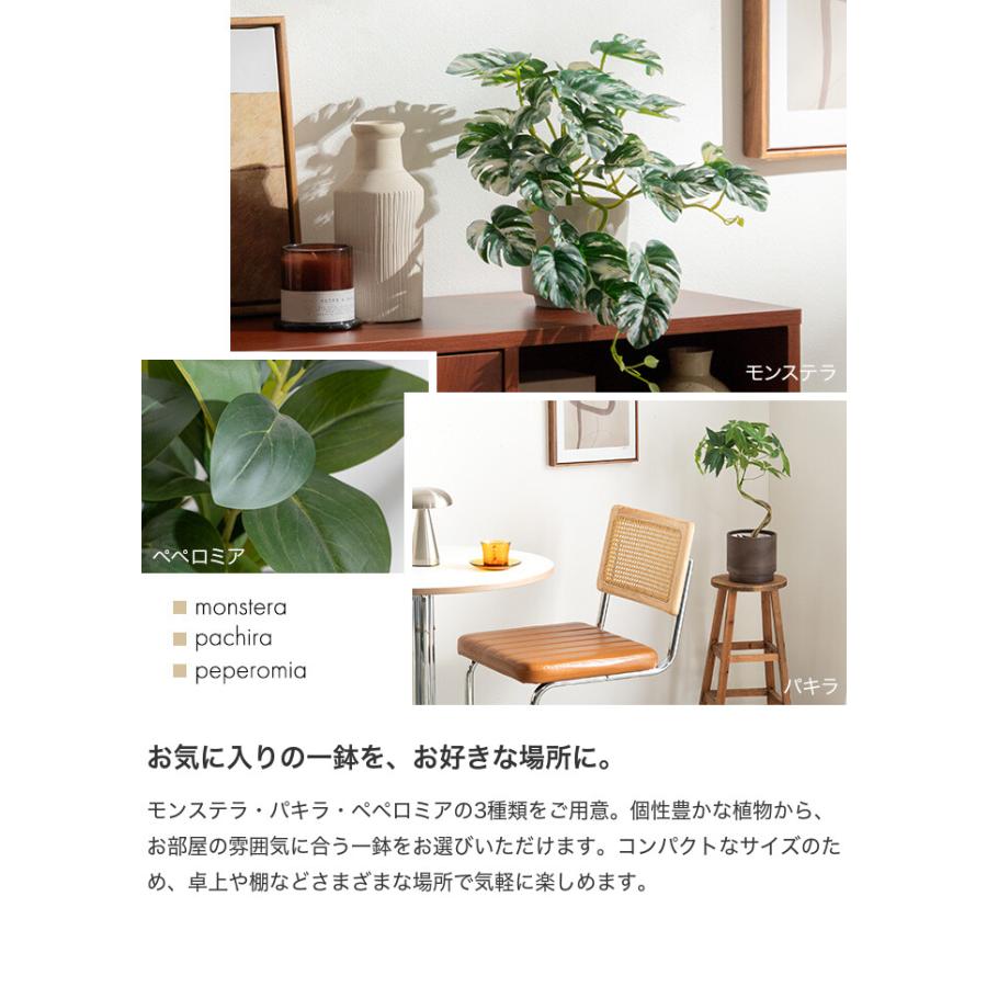フェイクグリーン モンステラ 卓上 光触媒 観葉植物 室内 人工 造花 班入り リビング オフィス 一人暮らし ギフト 新居 引っ越し 祝い インテリア 高さ27 |  | 03