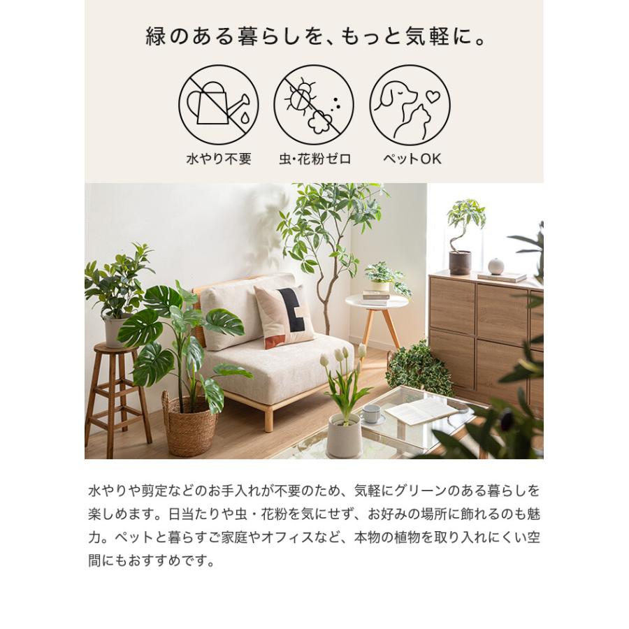 フェイクグリーン モンステラ 卓上 光触媒 観葉植物 室内 人工 造花 班入り リビング オフィス 一人暮らし ギフト 新居 引っ越し 祝い インテリア 高さ27 |  | 04