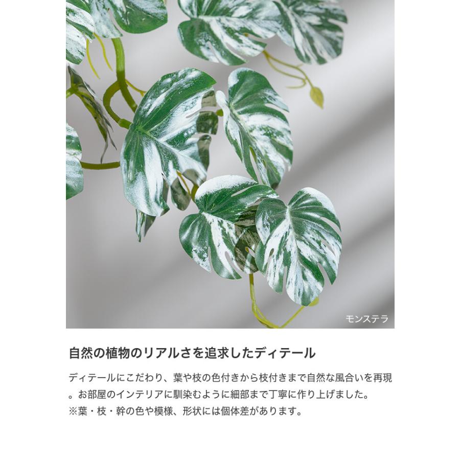 フェイクグリーン モンステラ 卓上 光触媒 観葉植物 室内 人工 造花 班入り リビング オフィス 一人暮らし ギフト 新居 引っ越し 祝い インテリア 高さ27 |  | 05