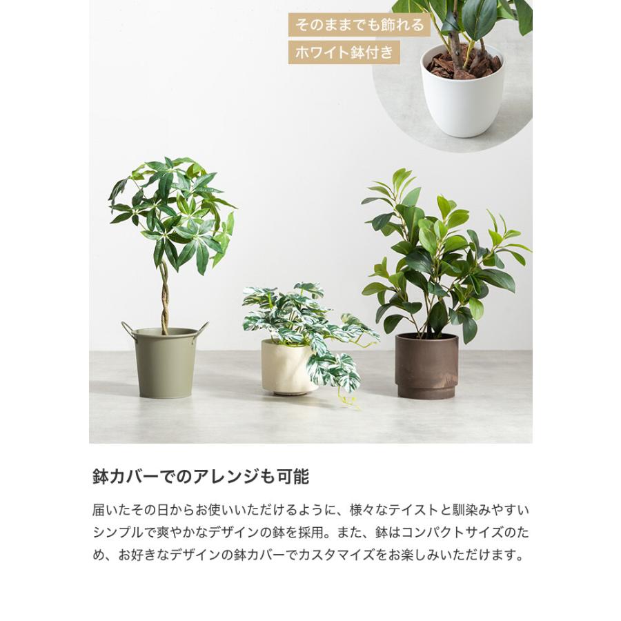 フェイクグリーン モンステラ 卓上 光触媒 観葉植物 室内 人工 造花 班入り リビング オフィス 一人暮らし ギフト 新居 引っ越し 祝い インテリア 高さ27 |  | 07