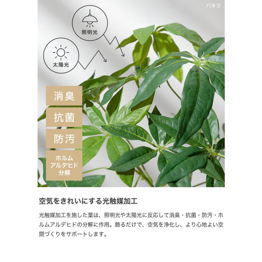 フェイクグリーン モンステラ 卓上 光触媒 観葉植物 室内 人工 造花 班入り リビング オフィス 一人暮らし ギフト 新居 引っ越し 祝い インテリア 高さ27 |  | 08