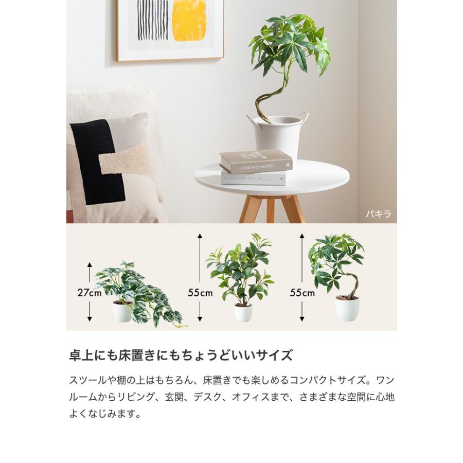 フェイクグリーン モンステラ 卓上 光触媒 観葉植物 室内 人工 造花 班入り リビング オフィス 一人暮らし ギフト 新居 引っ越し 祝い インテリア 高さ27 |  | 09