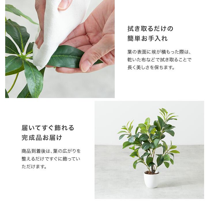 フェイクグリーン モンステラ 卓上 光触媒 観葉植物 室内 人工 造花 班入り リビング オフィス 一人暮らし ギフト 新居 引っ越し 祝い インテリア 高さ27 |  | 10