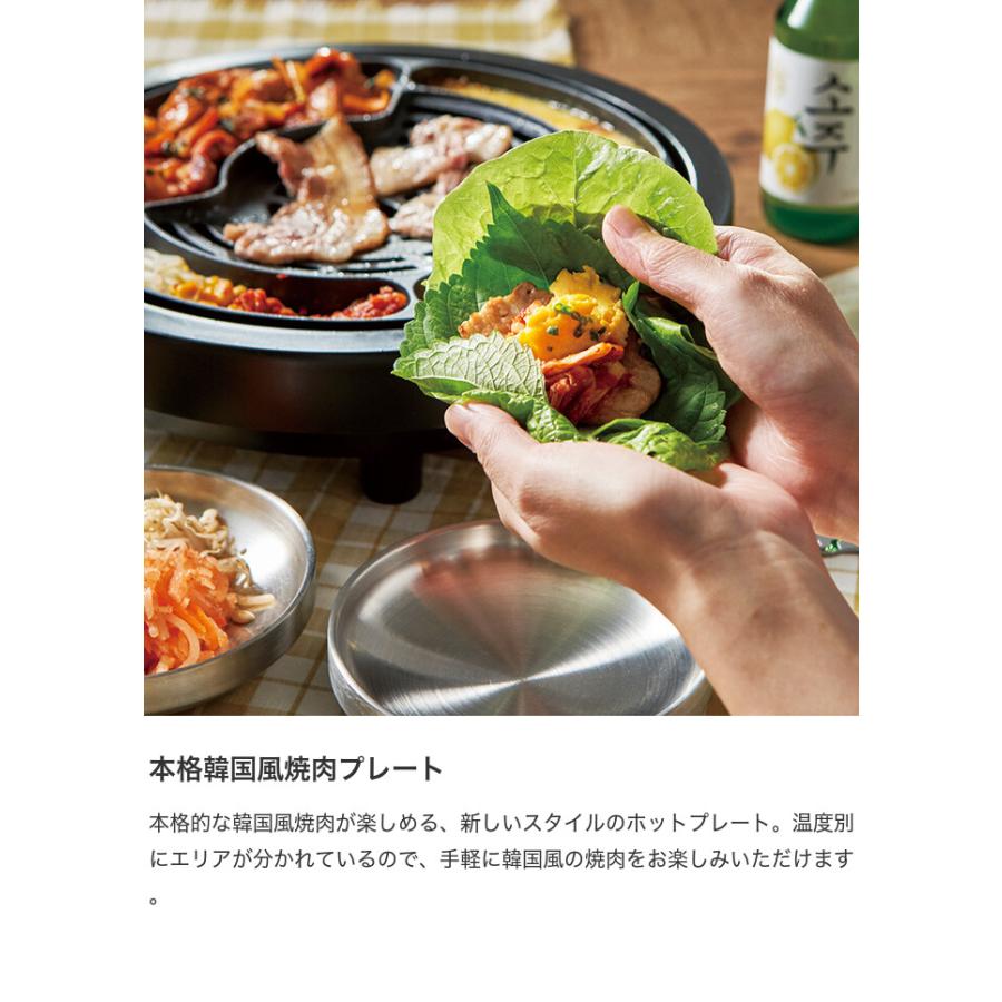 ホットプレート APIX グリルマイスター Grill Plate 焼肉 プレート 減