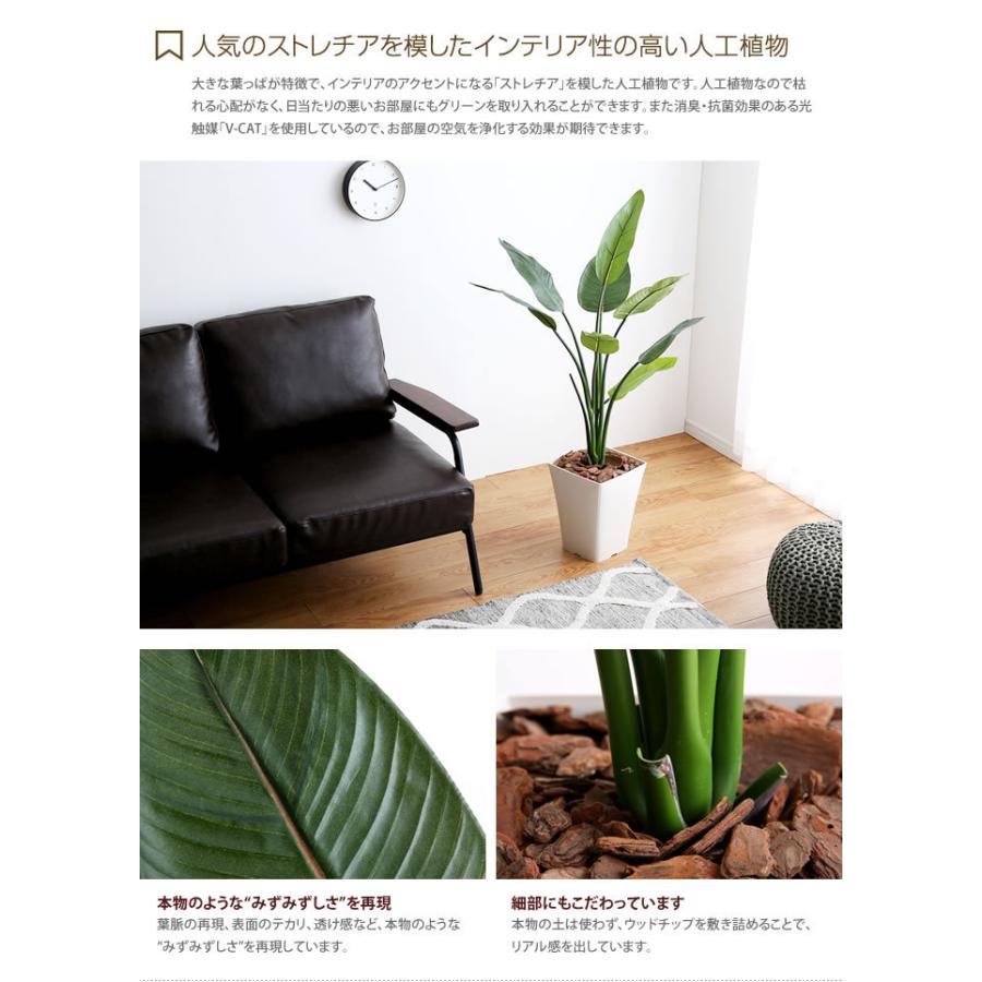 人工観葉植物 フェイクグリーン 高さ1.1m 人工植物 光触媒 インテリアグリーン 造花 インテリア おしゃれ ストレチア 消臭 抗菌 V-CAT グリーン_1