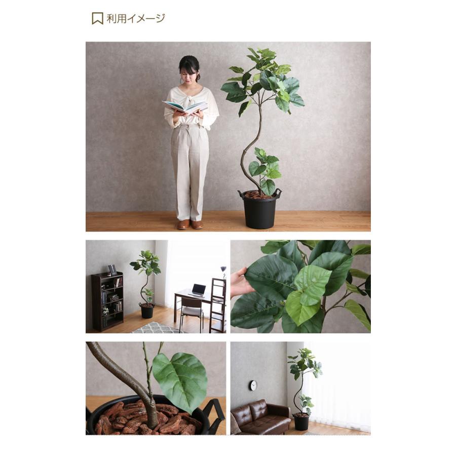 光触媒 人工観葉植物 フェイクグリーン ウンベラータツリー 高さ 1.5m