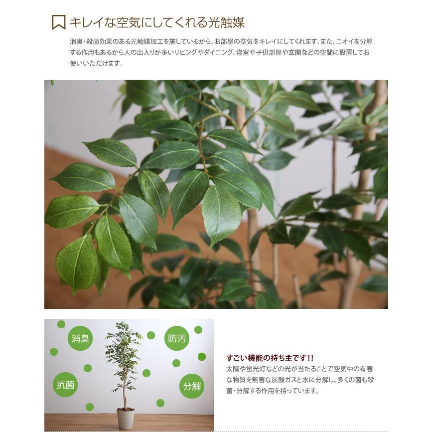 高さ1.3m 光触媒 フェイクグリーン 観葉植物 人工観葉植物 グリーン おしゃれ家具 おしゃれ 北欧 インテリア マウンテンアッシュ 造花 インドアグリーン_3