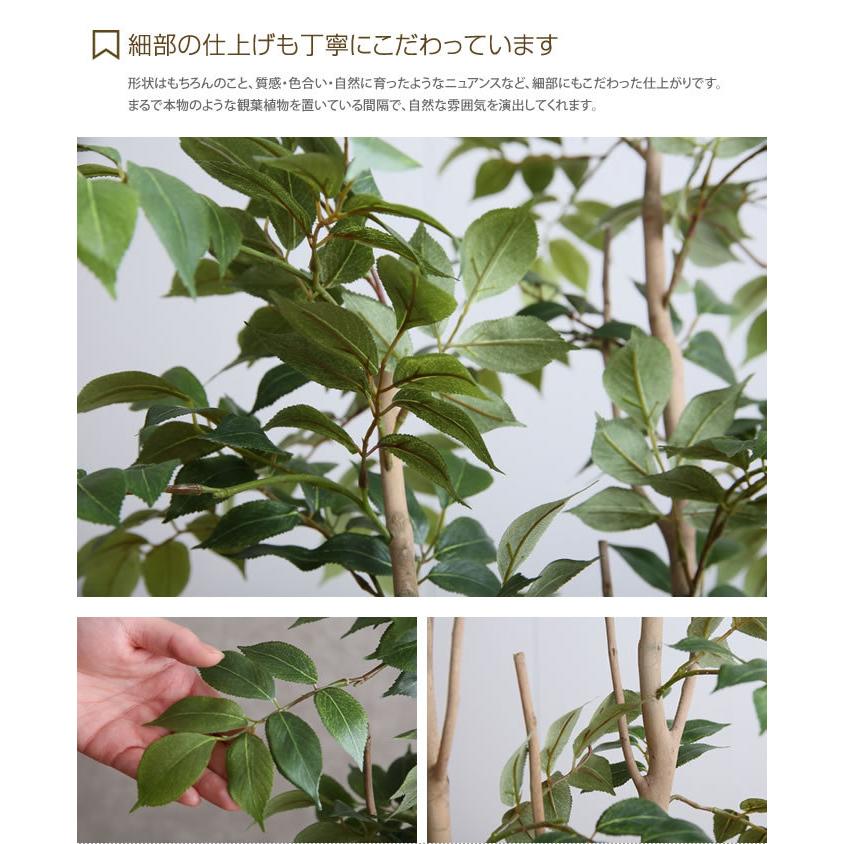 高さ1.3m 光触媒 フェイクグリーン 観葉植物 人工観葉植物 グリーン おしゃれ家具 おしゃれ 北欧 インテリア マウンテンアッシュ 造花 インドアグリーン_4