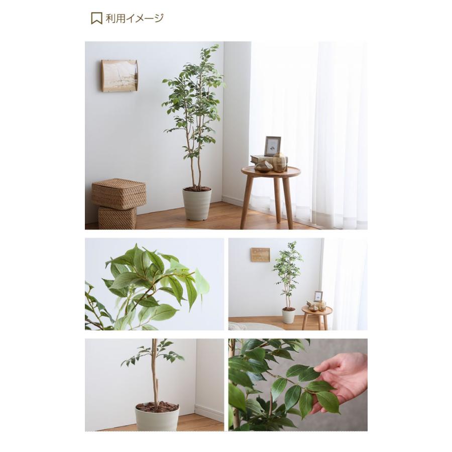 高さ1 3m 光触媒 フェイクグリーン 観葉植物 人工観葉植物 グリーン おしゃれ家具 おしゃれ 北欧 インテリア マウンテンアッシュ 造花 インドアグリーン G インテリアショップ イーナ 通販 Yahoo ショッピング