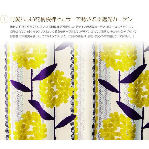 カーテン 遮光カーテン 遮光 ウォッシャブル 形状記憶加工 日本製 KEIRANSASU ケイランサス 花柄 北欧風 ドレープ 可愛い オシャレ シンプル 100cm×200cm |  | 01