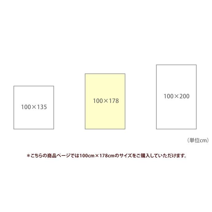 100cm×178cm HANAKAZARI ハナカザリ 1.5倍ヒダ 遮光2級 レトロ 明るい フラワー 日本製｜eeena｜04