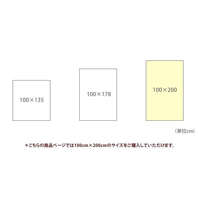 100cm×200cm HANAKAZARI ハナカザリ 1.5倍ヒダ 遮光2級 レトロ 明るい フラワー 日本製 |  | 03