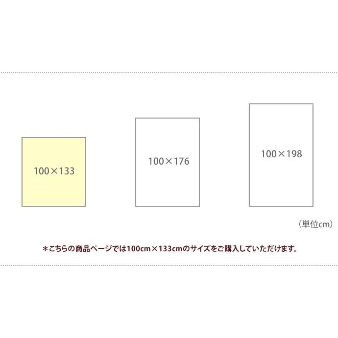 LOIRE ロワール 100cm×133cm 1.5倍ヒダ ウォッシャブル ミラーレース 防炎 遮熱 北欧 可愛いオシャレ 日本製 1枚｜eeena｜04