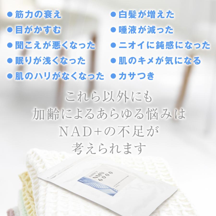 NMN6000】 3袋まとめ買い NMN サプリ 日本製 NMN6000mg配合