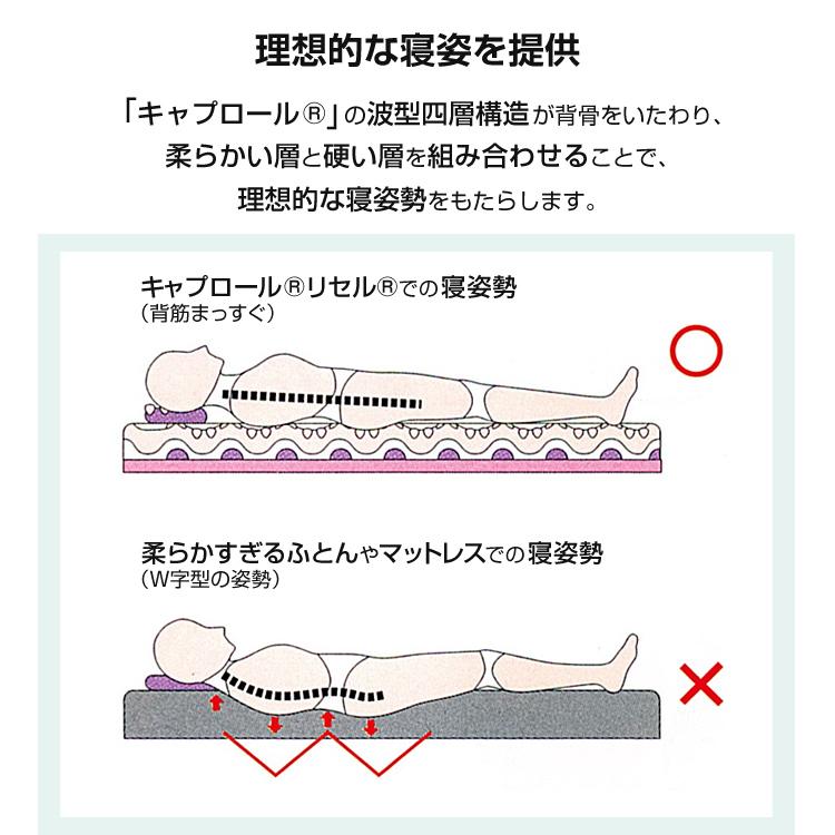 波型四層構造敷布団 新型 キャップロール 縁 えにし 95×195cm 厚み12cm 
