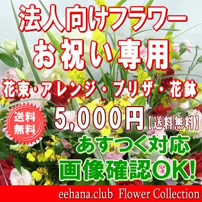 1650円 70 Off 法人用フラワー お祝い花専用フラワー5 000円 送料無料 翌日配達 あすつく対応 画像閲覧ok 開店 退職 新築 出産 フラワー
