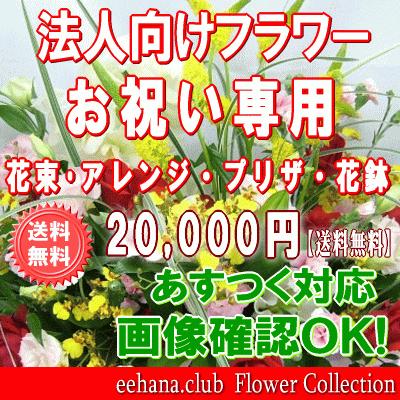 法人向けフラワー お祝い花専用フラワー20,000円 送料無料 翌日配達   あすつく対応 花束・アレンジ・プリザーブドフラワー・はちもの｜eehana｜02