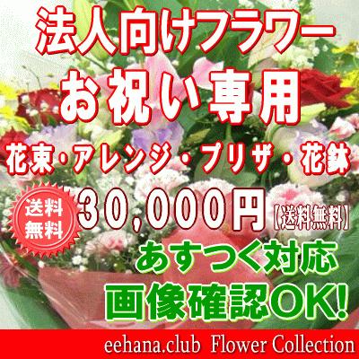 期間限定送料無料 法人向けフラワー お祝い花専用フラワー30 000円 送料無料 あすつく対応 花束 アレンジ プリザーブドフラワー はちもの 好評 Kuljic Com